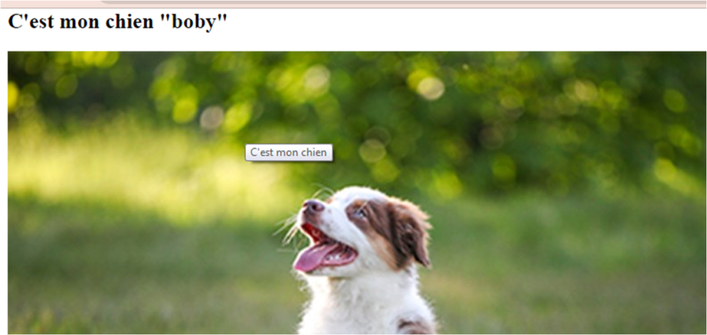 Insérer des images en HTML