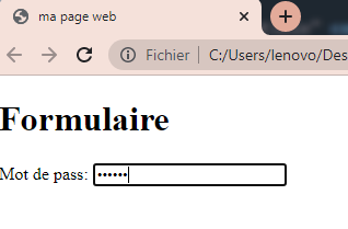 ajouter des inputs basiques dans un formulaires HTML